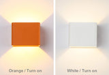 Wall Box Lights | LED - 5 colors - Seahorse Mansion 