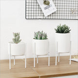 Ceramic Planter | Metal Stand - 3 Sizes, 3 Stand Colors - Seahorse Mansion 